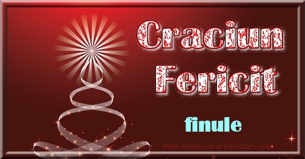 Felicitari de Craciun pentru Fin - Craciun Fericit finule