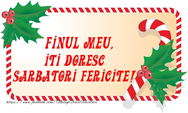 Felicitari de Craciun pentru Fin - Finul meu Iti Doresc Sarbatori Fericite!