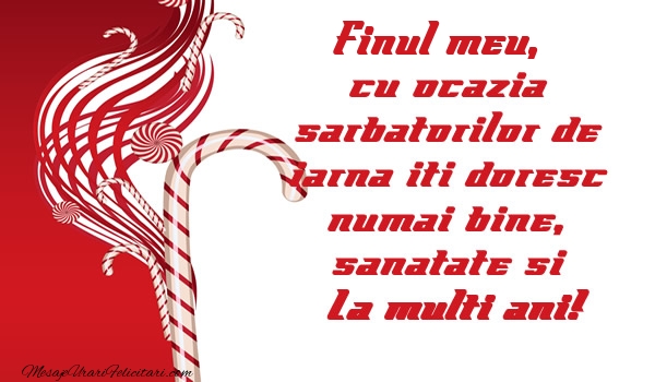 Felicitari de Craciun pentru Fin - Finul meu cu ocazia  sarbatorilor de iarna iti doresc numai bine, sanatate si La multi ani!