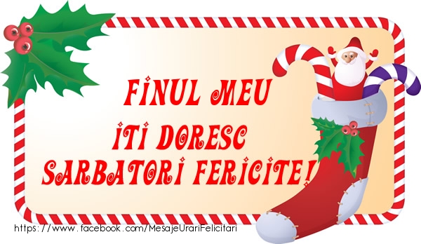 Felicitari de Craciun pentru Fin - Finul meu Iti Doresc Sarbatori Fericite!