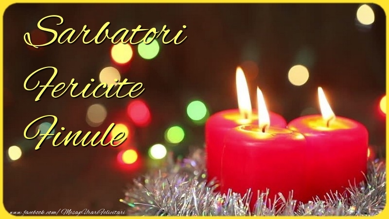 Felicitari de Craciun pentru Fin - Sarbatori Fericite finule