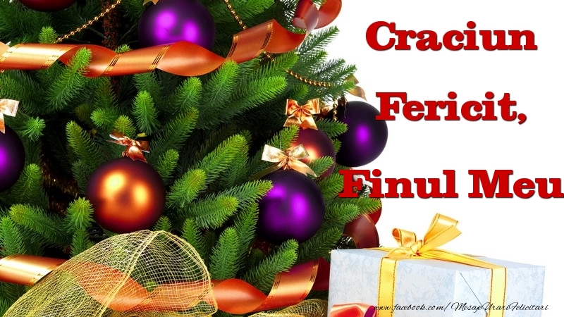 Felicitari de Craciun pentru Fin - Craciun Fericit, finul meu
