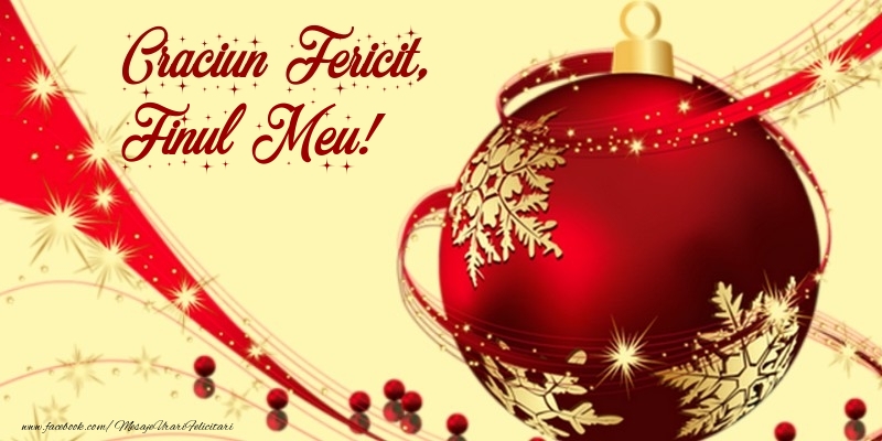 Felicitari de Craciun pentru Fin - Craciun Fericit, finul meu
