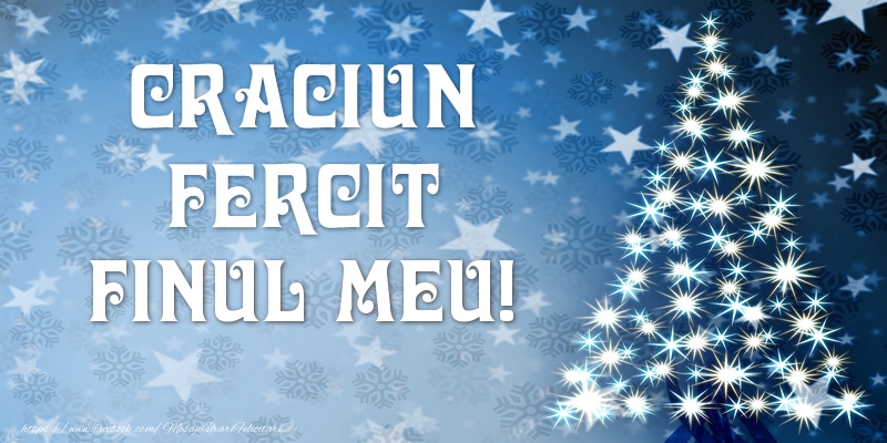 Felicitari de Craciun pentru Fin - Craciun Fericit finul meu!