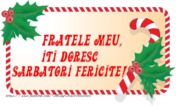 Felicitari de Craciun pentru Frate - Fratele meu Iti Doresc Sarbatori Fericite!