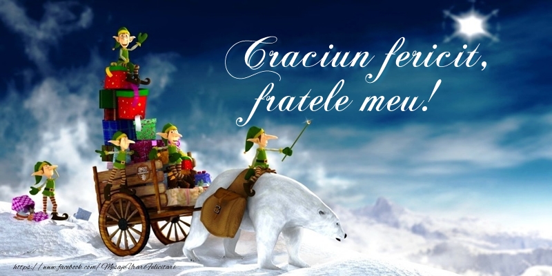 Felicitari de Craciun pentru Frate - Craciun fericit, fratele meu!