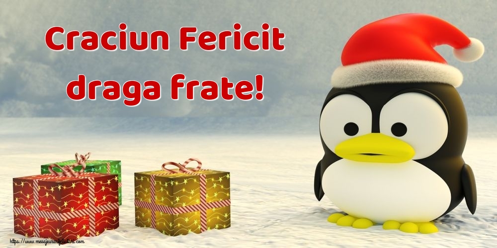 Felicitari de Craciun pentru Frate - Craciun Fericit draga frate!