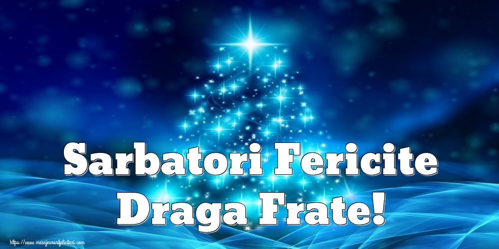 Felicitari de Craciun pentru Frate - Sarbatori Fericite draga frate!