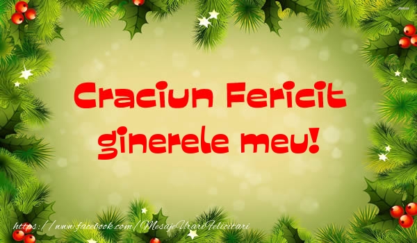 Felicitari de Craciun pentru Ginere - Craciun Fericit ginerele meu!