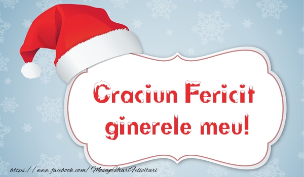 Felicitari de Craciun pentru Ginere - Craciun Fericit ginerele meu!