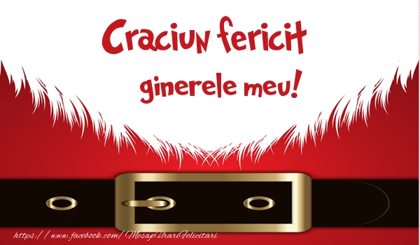 Felicitari de Craciun pentru Ginere - Craciun Fericit ginerele meu!