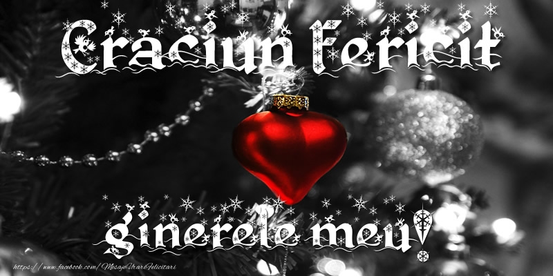 Felicitari de Craciun pentru Ginere - Craciun Fericit ginerele meu!