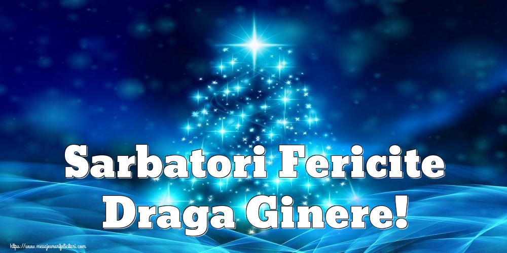 Felicitari de Craciun pentru Ginere - Sarbatori Fericite draga ginere!