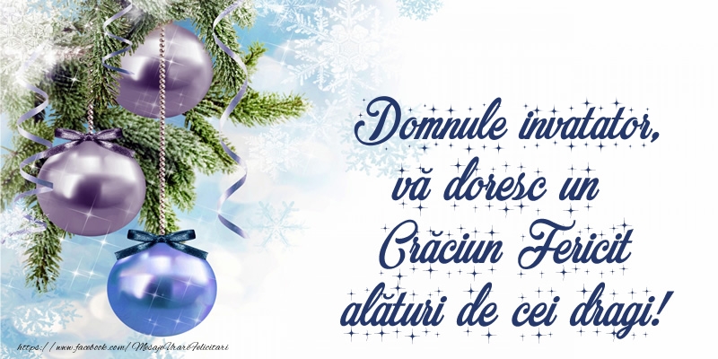 Felicitari de Craciun pentru Invatator - Domnule invatator, vă doresc un Crăciun Fericit alături de cei dragi!