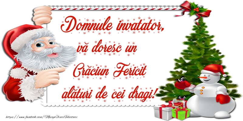 Felicitari de Craciun pentru Invatator - Domnule invatator, vă doresc un Crăciun Fericit alături de cei dragi!