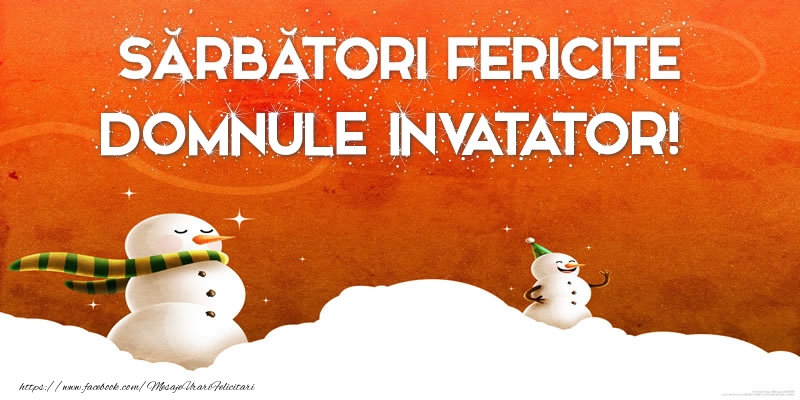 Felicitari de Craciun pentru Invatator - Sărbători Fericite domnule invatator!