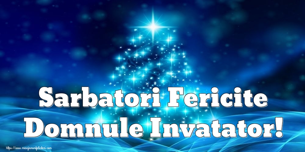Felicitari de Craciun pentru Invatator - Sarbatori Fericite domnule invatator!