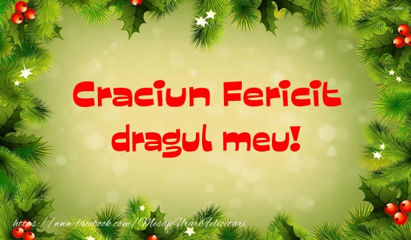 Felicitari de Craciun pentru Iubit - Craciun Fericit dragul meu!