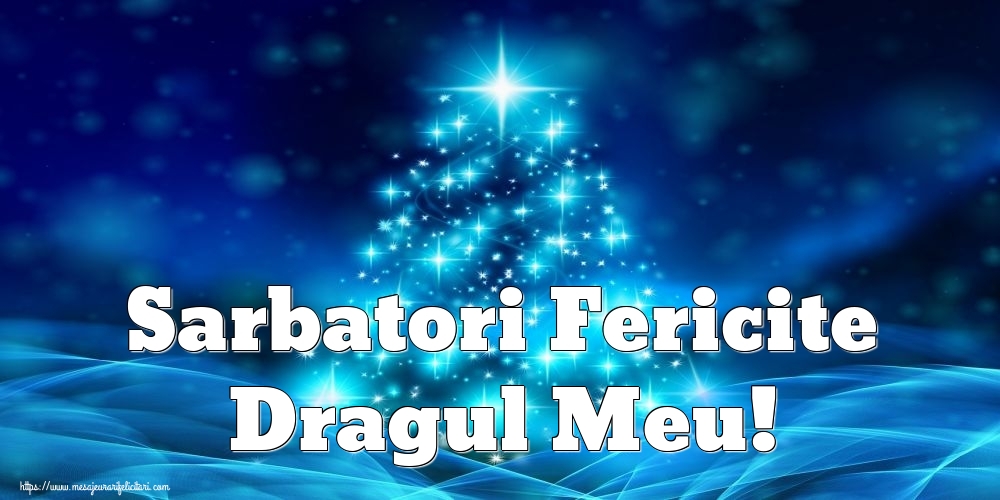 Felicitari de Craciun pentru Iubit - Sarbatori Fericite dragul meu!