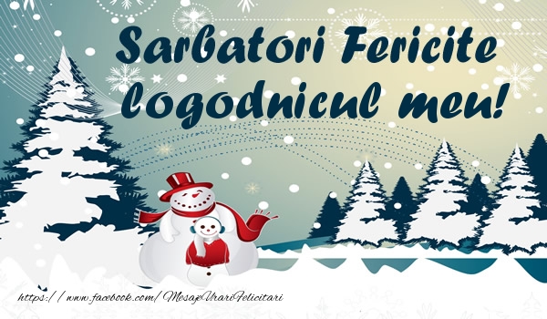 Felicitari de Craciun pentru Logodnic - Sarbatori fericite logodnicul meu!