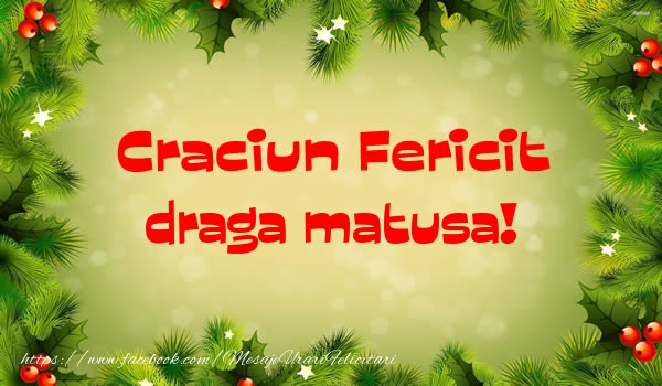 Felicitari de Craciun pentru Matusa - Craciun Fericit draga matusa!