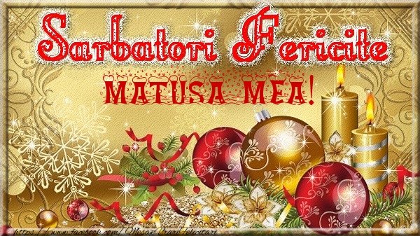 Felicitari de Craciun pentru Matusa - Sarbatori fericite matusa mea!