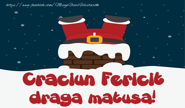 Felicitari de Craciun pentru Matusa - Craciun Fericit draga matusa!
