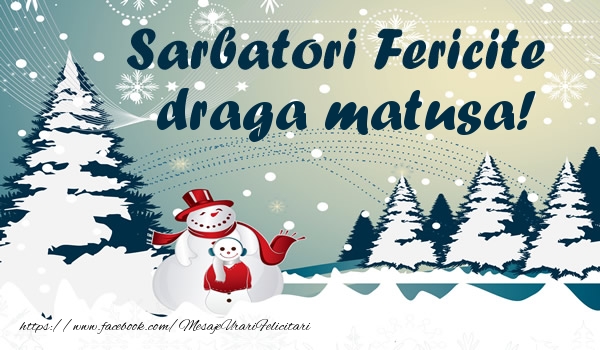 Felicitari de Craciun pentru Matusa - Sarbatori fericite draga matusa!