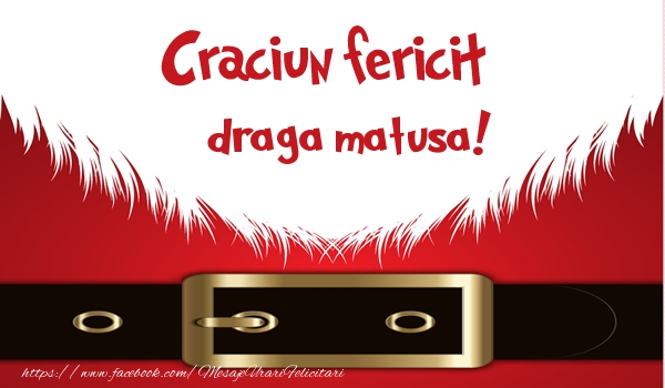 Felicitari de Craciun pentru Matusa - Craciun Fericit draga matusa!