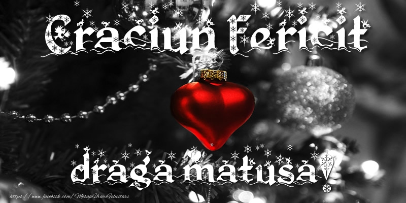 Felicitari de Craciun pentru Matusa - Craciun Fericit draga matusa!