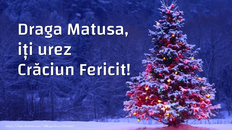 Felicitari de Craciun pentru Matusa - Draga matusa, iți urez Crăciun Fericit!