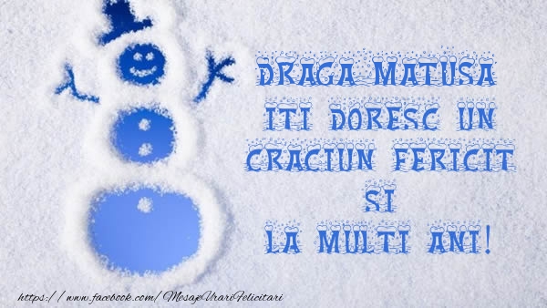Felicitari de Craciun pentru Matusa - Draga matusa iti doresc un Craciun Fericit si La multi ani!