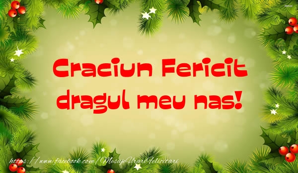 Felicitari de Craciun pentru Nas - Craciun Fericit dragul meu nas!