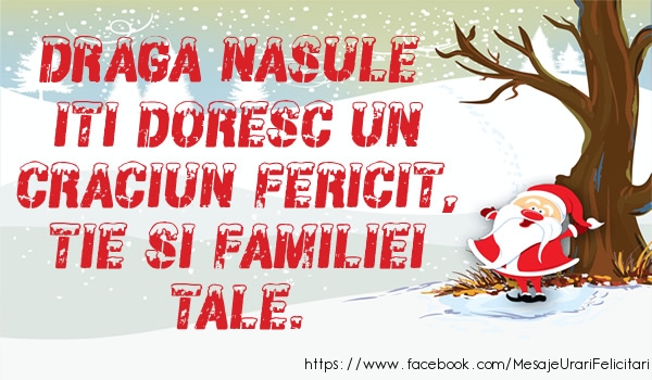 Felicitari de Craciun pentru Nas - Draga nasule iti doresc un Craciun fericit, tie si familiei tale