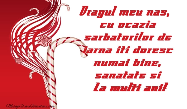 Felicitari de Craciun pentru Nas - Dragul meu nas cu ocazia  sarbatorilor de iarna iti doresc numai bine, sanatate si La multi ani!