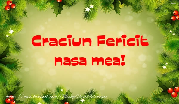 Felicitari de Craciun pentru Nasa - Craciun Fericit nasa mea!