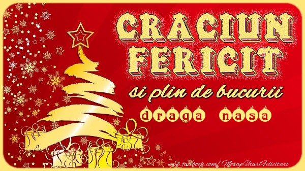 Felicitari de Craciun pentru Nasa - Craciun Fericit si plin de bucurii draga nasa