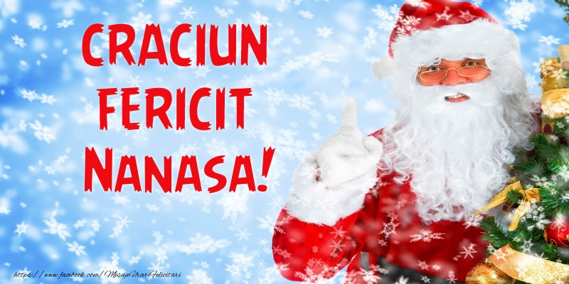 Felicitari de Craciun pentru Nasa - Craciun Fericit nanasa!