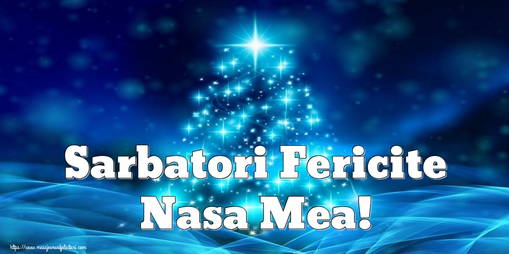Felicitari de Craciun pentru Nasa - Sarbatori Fericite nasa mea!