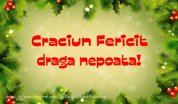 Felicitari de Craciun pentru Nepoata - Craciun Fericit draga nepoata!