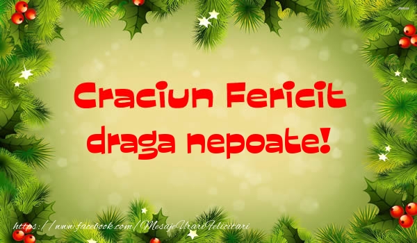 Felicitari de Craciun pentru Nepot - Craciun Fericit draga nepoate!