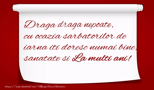 Felicitari de Craciun pentru Nepot - Draga draga nepoate, cu ocazia sarbatorilor de iarna iti doresc numai bine, sanatate si  La multi ani!