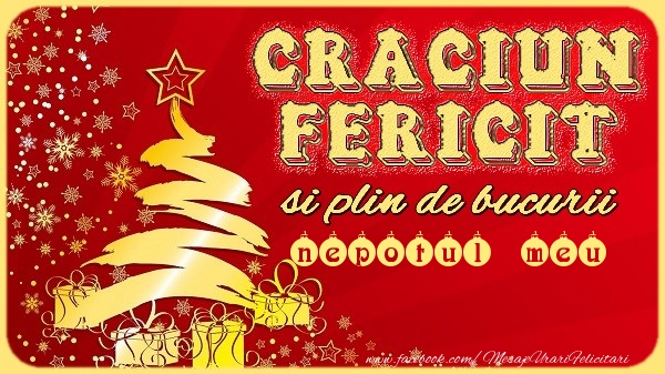Felicitari de Craciun pentru Nepot - Craciun Fericit si plin de bucurii nepotul meu