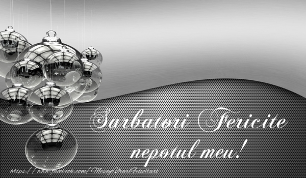 Felicitari de Craciun pentru Nepot - Sarbatori fericite nepotul meu!