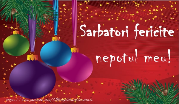 Felicitari de Craciun pentru Nepot - Sarbatori fericite nepotul meu!