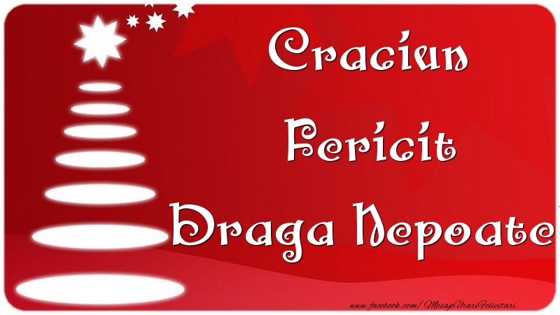 Felicitari de Craciun pentru Nepot - Craciun Fericit draga nepoate
