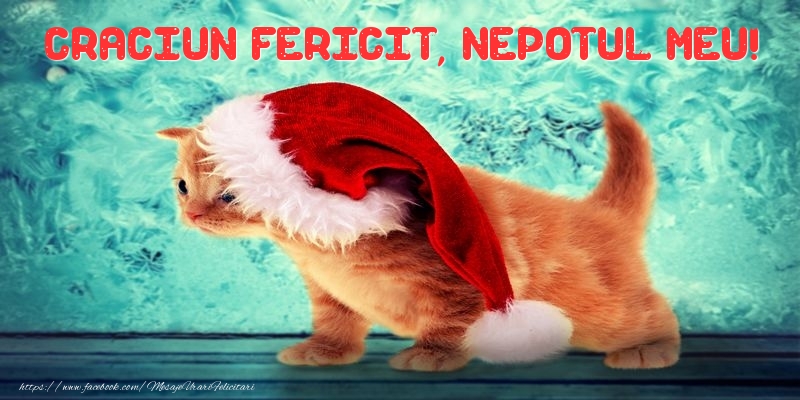 Felicitari de Craciun pentru Nepot - Craciun Fericit, nepotul meu!