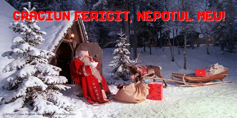 Felicitari de Craciun pentru Nepot - Craciun Fericit, nepotul meu!