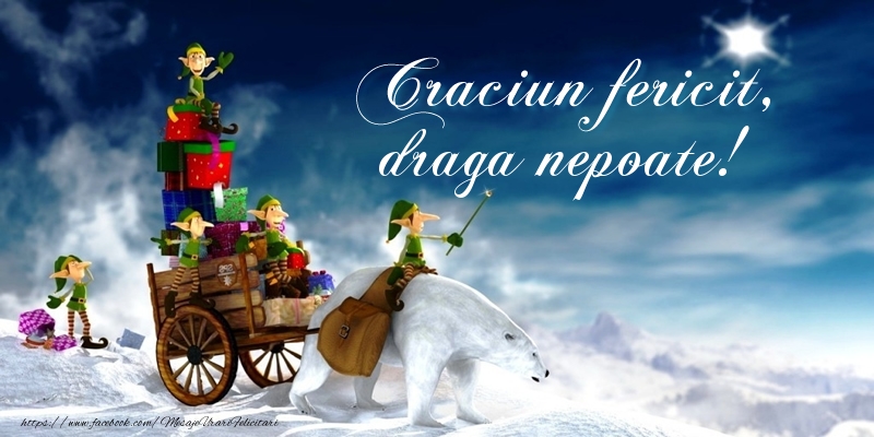 Felicitari de Craciun pentru Nepot - Craciun fericit, draga nepoate!