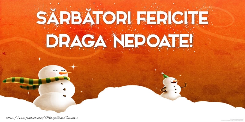 Felicitari de Craciun pentru Nepot - Sărbători Fericite draga nepoate!